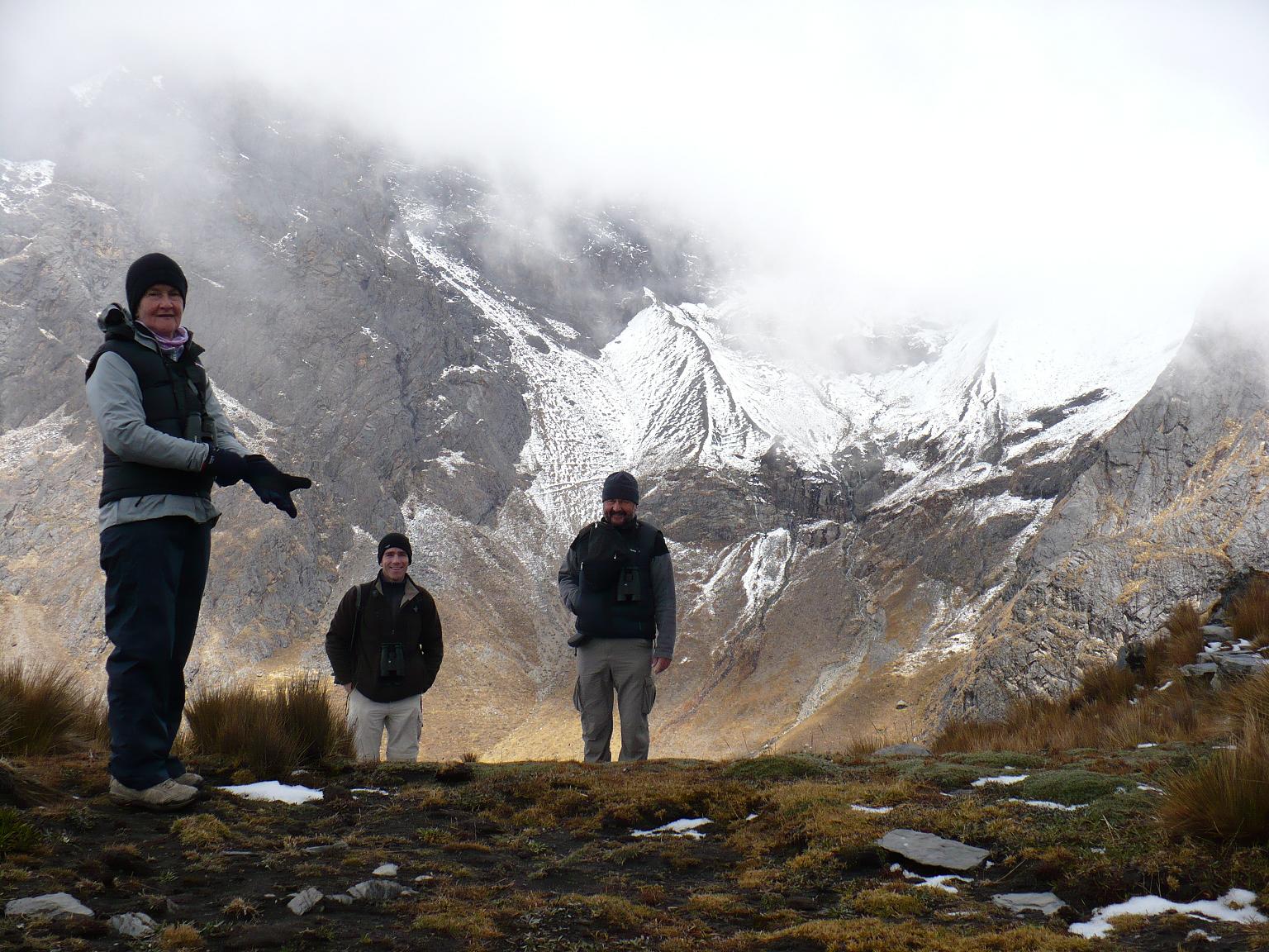 Peru_paramo