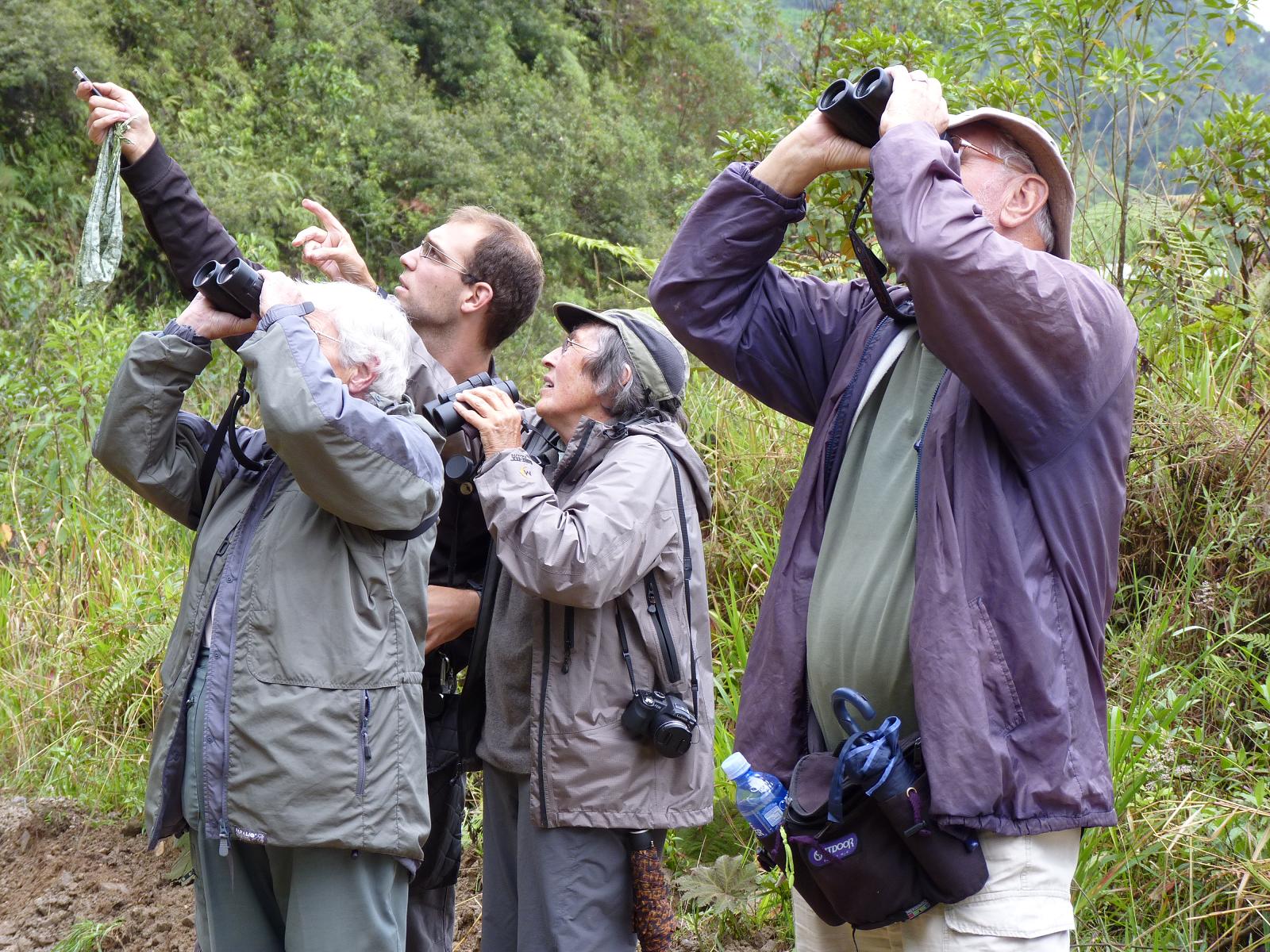 birders